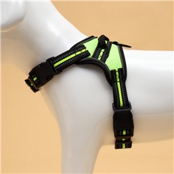 Шлейка улучшенная К7 мягкая светоотражающая, размер S, ОГ 44-55 см, вес 5-9 кг, зелёная