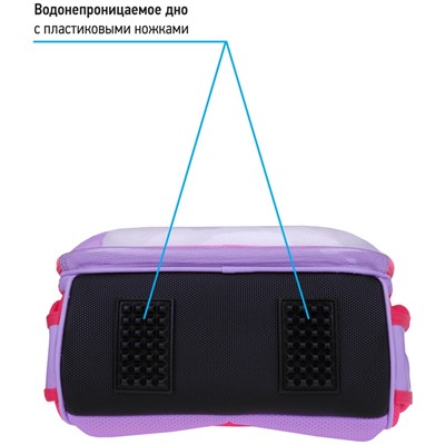 Ранец Berlingo Expert "Cute cat" 37*28*16см, 2 отделения, 2 кармана, анатомическая спинка