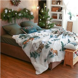 Постельное бельё "Этель" 1.5 сп Winter village 143*215 см, 150*214 см, 70*70 см - 2 шт, бязь 125гр/м2
