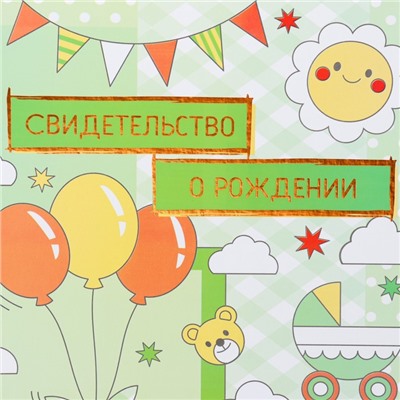 Папка для свидетельства о рождении, А4 «Воздушные шары»