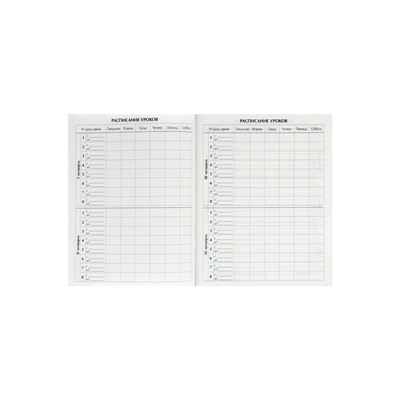 Дневник школьный для 1-11 классов, «Школа», твёрдая обложка 7БЦ, глянцевая ламинация, 40 листов