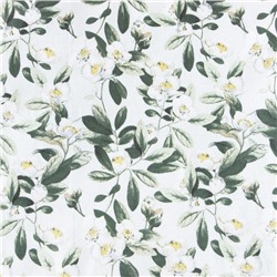 Постельное бельё Этель 1.5 сп Jasmine 143х215 см, 150х214 см, 70х70 см -2 шт, поплин