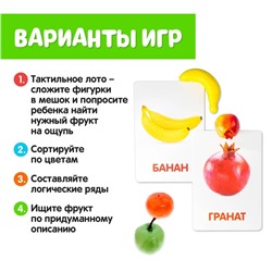 Обучающий набор по методике Г. Домана «Фрукты»: 10 карточек + 10 фруктов, счётный материал, МИКС