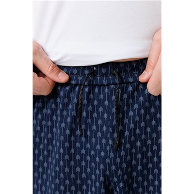 Мужские шорты 1942/5 / Синий