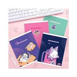 Тетрадь 48л., А5, клетка MESHU "Catbox", матовая ламинация, выборочный УФ-лак