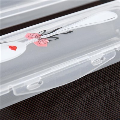 Футляр для столовых приборов Доляна, 24×7.5×3.8 см, прозрачный, рисунок МИКС