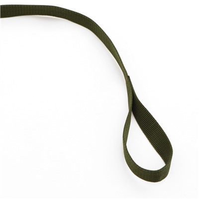 Поводок 7 м × 2.5 см, зеленый