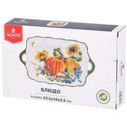 БЛЮДО AGNESS "УРОЖАЙ" 23,5*14*2,5 СМ (КОР=36ШТ.)