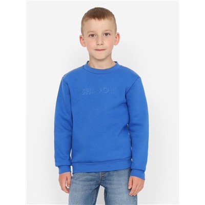 Толстовка для мальчика Cherubino CWKB 63685-42 Синий