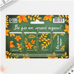 Магнитные закладки для книг, 4 шт. «Лучшему учителю»