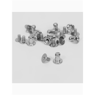Кобурный винт d=5/8×9 мм, 10 шт., цвет серебряный
