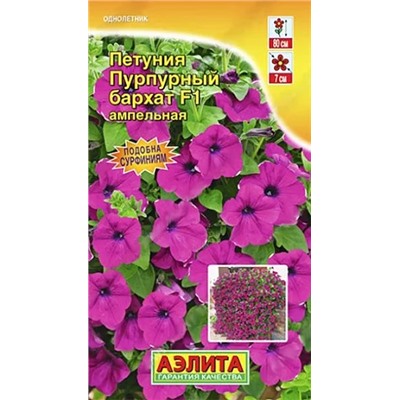 Семена Петуния ампельная Пурпурный бархат F1, арт.: 10889