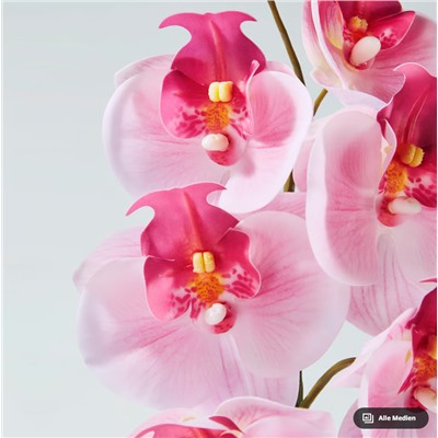 SMYCKA Kunstblume, drinnen/draußen/Orchidee rosa, 60 cm