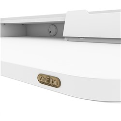 Стол рабочий SHT-TU10/TT31 120/65 ЛДСП
                        белый / белый шагрень