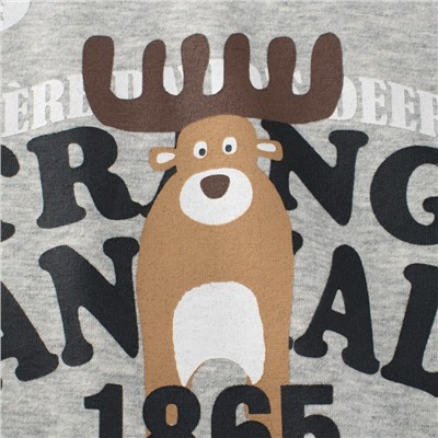 27HOME/GRRR DT2013