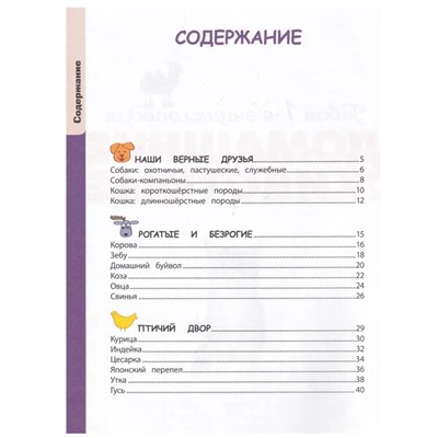 Уценка. Александра Смирнова: Домашние животные