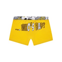 Трусы-боксеры для мальчика, 2 шт. в комплекте