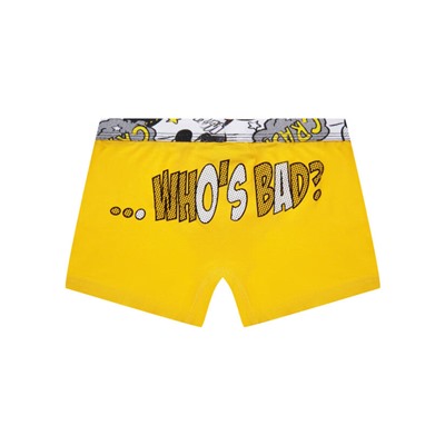 Трусы-боксеры для мальчика, 2 шт. в комплекте