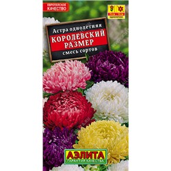 1096 Астра Королевский размер, смесь сортов 0,1гр