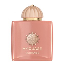 EU Amouage Guidance unisex 100 ml
