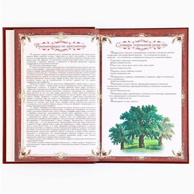Родословная книга новогодняя « Дед Мороз» 17×2×23.7 см