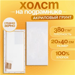 Холст на подрамнике, хлопок 100%, 1.6×20×40 см, акриловый грунт, среднезернистый, 380 г/м²