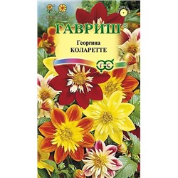 Семена Георгина Коларетте, арт.: 3922