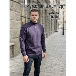 Мужской джемпер 52723 / фиолетовый