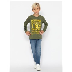 Джемпер для мальчика Cherubino CWKB 63711-35-387 Хаки