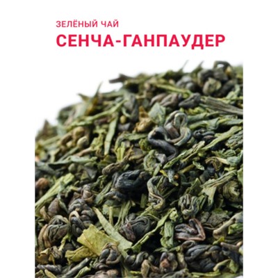 Сенча-Ганпаудер