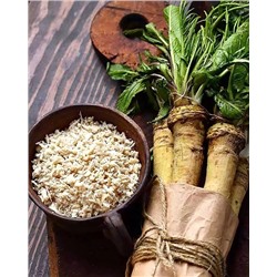 Саженцы Хрен, арт.: 74579