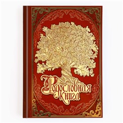 Родословная книга в шкатулке новогодняя «Каждый день», 26 х 8 х 27 см