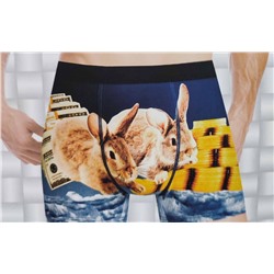 Мужские трусы арт. 30221