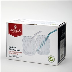 НАБОР СТАКАНОВ ИЗ 2-Х ШТ. СО СТЕКЛ. ТРУБОЧКАМИ 600 МЛ