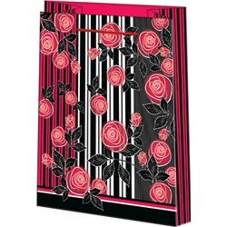 Пакет бум./ламинир.МО 10-41  260*327*100мм /10/Россия