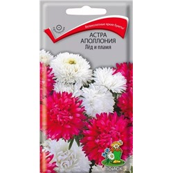 Семена Астра Апполония Лед и пламя, арт.: 8241