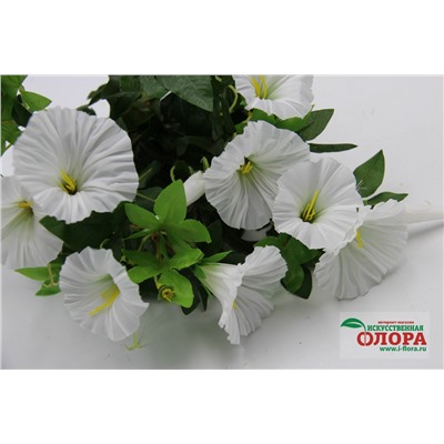 Букет Вьюн 7 стеблей (CH05005799)