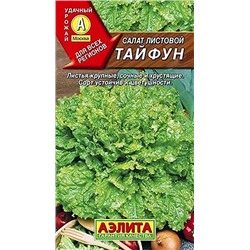 Салат Тайфун листовой, арт.: 71112
