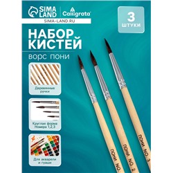 Набор кистей пони 3 штуки: № 1, 2, 3, круглые, с деревянными ручками, в блистере