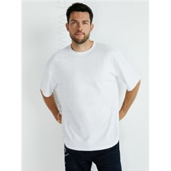 Футболка мужская OmT_U1302 Omsa Дроп