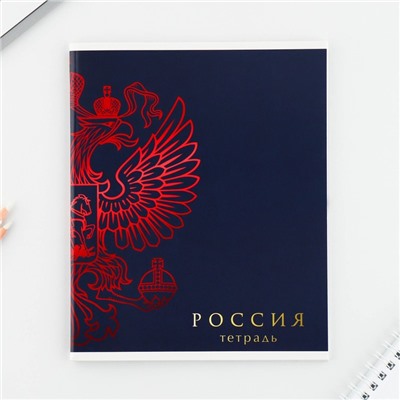 Тетрадь в клетку, 48 л., А5, на скрепке, блок №1 «Россия» МИКС