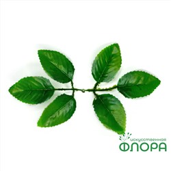 Лист Розы 6-ой (401-1)