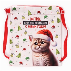 Рюкзак - мешок детский новогодний «Котик в шапке», 35×30 см