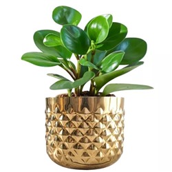 Металлическое Кашпо, Metal Indoor Pineapple Texture Golden Plante 5.3 (Height) × 6.1 (Dia), произв. Behoma