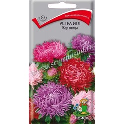 Семена Астра игл Жар-птица, арт.: 12187