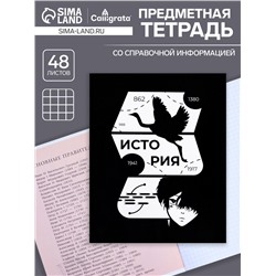 Тетрадь предметная 48 листов в клетку Calligrata, «Комикс Аниме. История», обложка мелованный картон