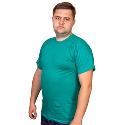 Футболки мужские Арт. Ф-10 р.48-56