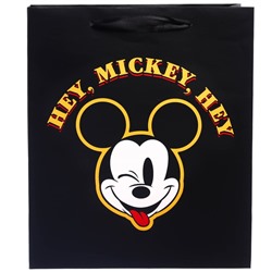 Пакет ламинированный вертикальный, "Hey Mickey Hey" Микки Маус, 23х27х11 см