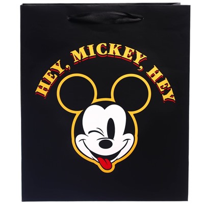 Пакет ламинированный вертикальный, "Hey Mickey Hey" Микки Маус, 23х27х11 см