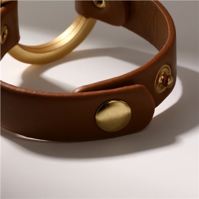 Браслет кожа «Помпеи» заклёпки, коричневый в золоте, 21 см